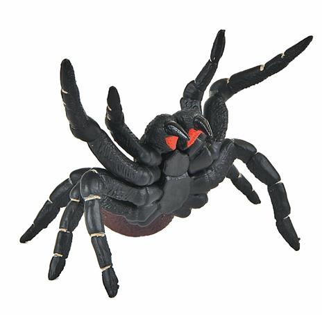 Ragni. Funnel. Web Spider - 3