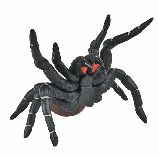 Ragni. Funnel. Web Spider - 3