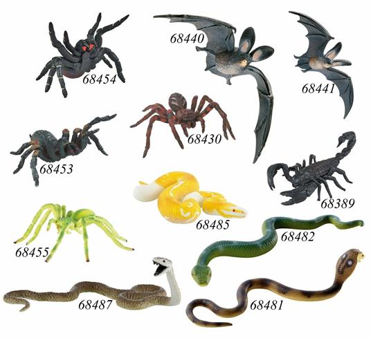 Ragni. Funnel. Web Spider - 4