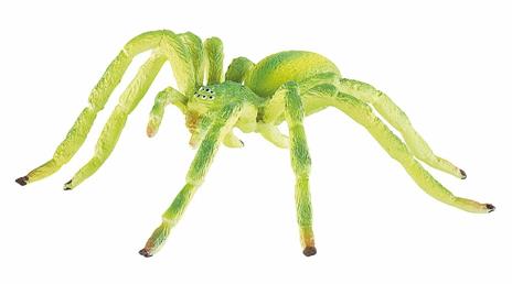 Ragni. Green Huntsman Spider - 3