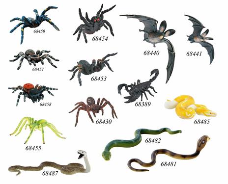 White Knee Tarantula - 5