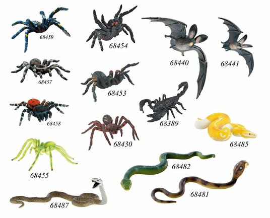 White Knee Tarantula - 5