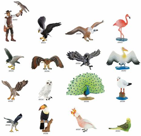 Uccelli. Snowy Owl - 4