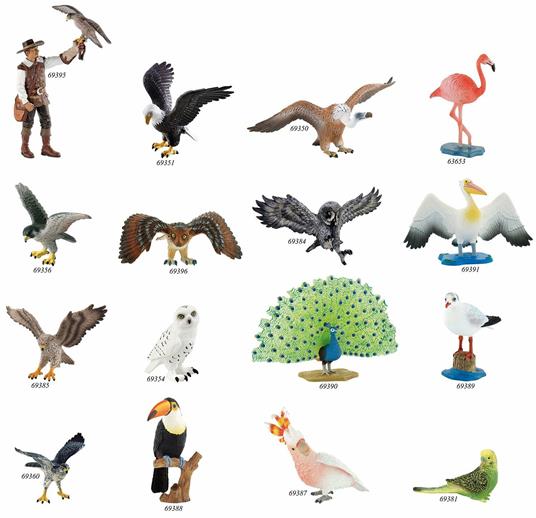 Uccelli. Snowy Owl - 4