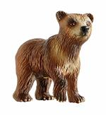 Young Brown Bear