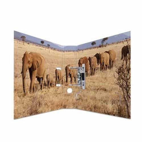 HERMA 7168 raccoglitore ad anelli A4 Multicolore - 3