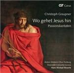 Wo Gehet Jesu Hin - CD Audio di Johann Christoph Graupner,Hans Michael Beuerle