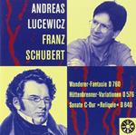 Wanderer fantasia D 760 op 15 in DO (1822)
