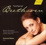 Transfigured Beethoven - CD Audio di Petronel Malan