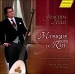 Musique Pour Le Roi - Opere per Liuto di Compositori Francesi - CD Audio di Joachim Held