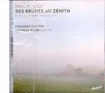 Des Brumes au Zenith