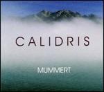 Calidris