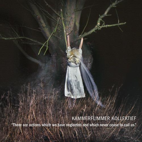 There Are Actions Which We Have Neglected and Which Never Cease to Call Us - CD Audio di Kammerflimmer Kollektief