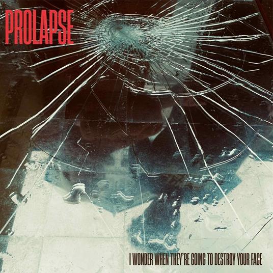 I Wonder When They'Re Going To Destroy Your Face - CD Audio di Prolapse