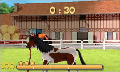 Campioni in Sella - 3DS - 4