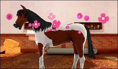 Campioni in Sella - 3DS - 5