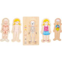 Puzzle a strati in legno Anatomia, 29 x 16 x 2 cm