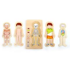 Puzzle in legno Anatomia, 29 x 16 x 2 cm