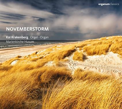 Novemberstorm - CD Audio di Kai Krakenberg