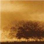 Infinite Light (Limited)