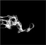 Tourette - CD Audio di Saffronkeira