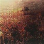 Arrhythmical Part of Hearts - Vinile LP di Sebastian Plano