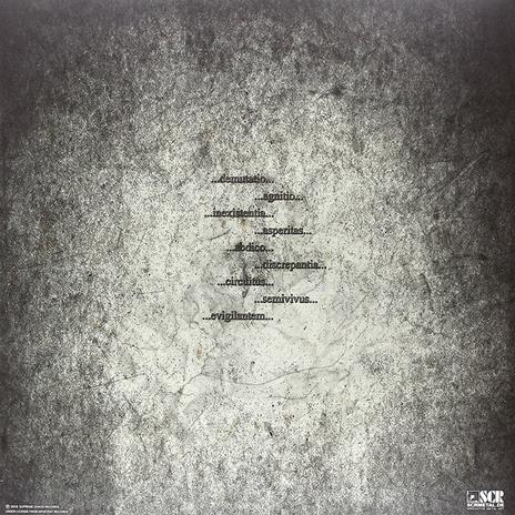 Still - Vinile LP di Maladie - 2