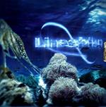 Linea Blu (Colonna sonora)