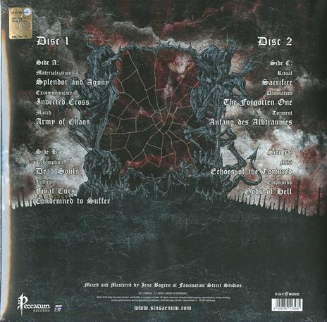 Echoes of the Tortured (Limited Edition Picture Disc) - Vinile LP di Sinsaenum - 2