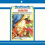 David - Psalmensänger, Flüchtling, Bandenführer