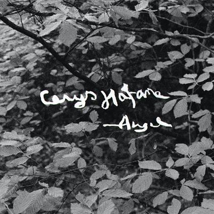 Angel - Vinile LP di Cerys Hafana