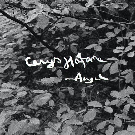 Angel - Vinile LP di Cerys Hafana