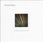 Monument for John Kaltenbrunner - CD Audio di Buddy & the Huddle