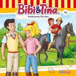 Bibi & Tina, Folge 43: Konkurrenz für Alex