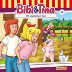 Bibi & Tina, Folge 48: Ein ungebetener Gast