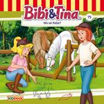 Bibi & Tina, Folge 75: Wo ist Felix?