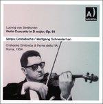 Violin Concerto In D Majo