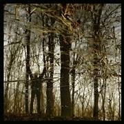 Bannwald (Clear Brown Smoked Coloured Vinyl) - Vinile LP di Apoptose