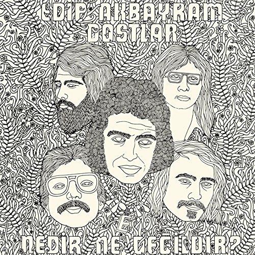 Nedir Ne Degildir - CD Audio di Edip Akbayram