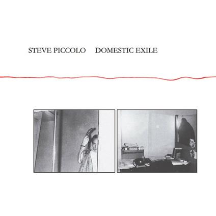 Domestic Exile - Vinile LP di Steve Piccolo