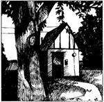 Cottage Songs