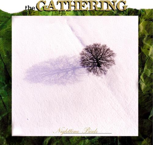 Nighttime Birds - CD Audio di Gathering