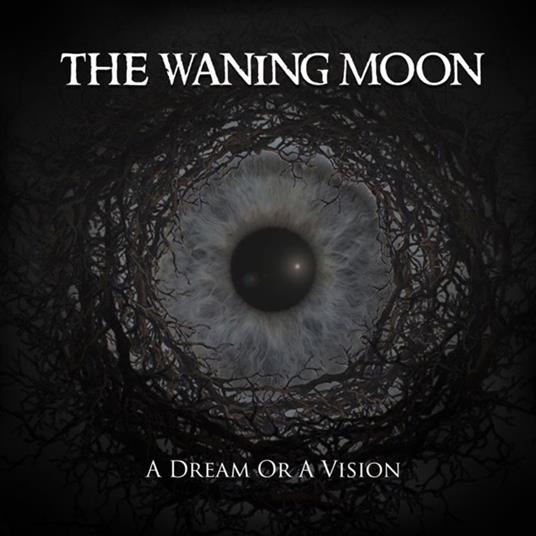 A Dream Or A Vision - CD Audio di Waning Moon