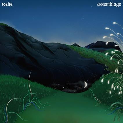 Assemblage - CD Audio di Weite