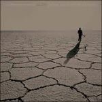 Salero - Vinile LP di Adam Bryanb Wiltzie