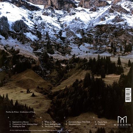 Conference of Trees - Vinile LP di Pantha du Prince - 2