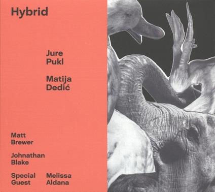 Hybrid - CD Audio di Jure Pukl & Matija Dedic