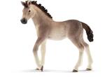 Puledro Andaluso Schleich