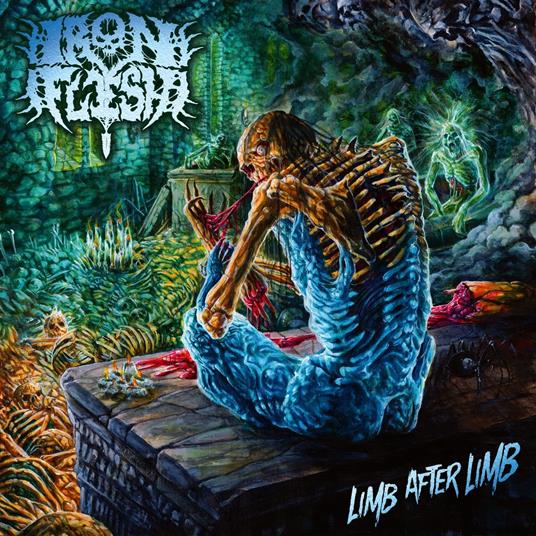Limb After Limb - CD Audio di Iron Flesh