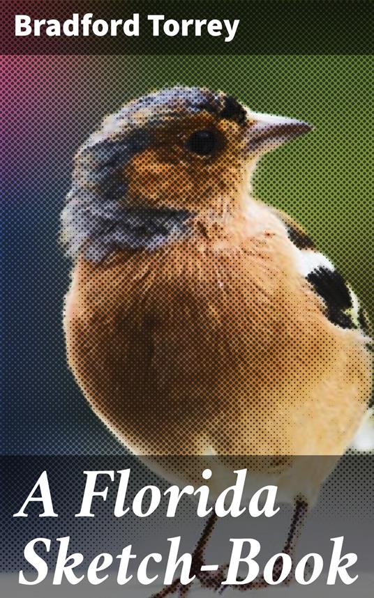 A Florida Sketch-Book